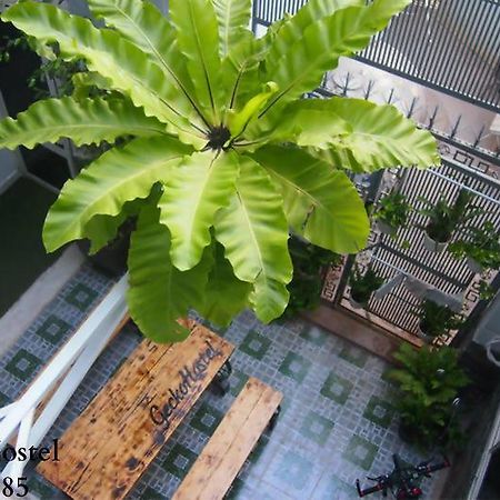 Gecko Hostel (Adults Only) Vung Tau Dış mekan fotoğraf