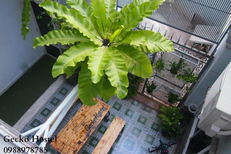 Gecko Hostel (Adults Only) Vung Tau Dış mekan fotoğraf